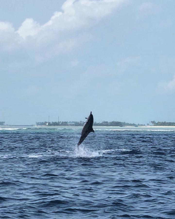 Hotel Seginy Seaview Guraidhoo  Esterno foto